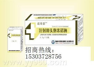 败血症科学应对 从识别到治疗与康复